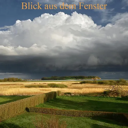 Inselliebe * Groß Zicker