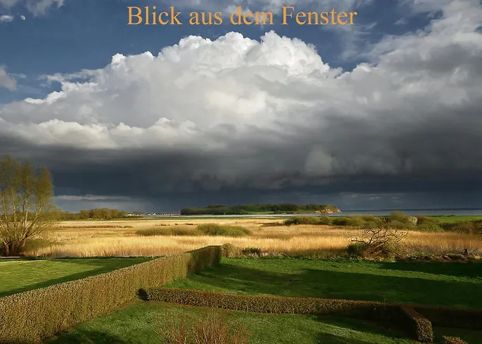 Inselliebe * Groß Zicker